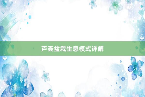 芦荟盆栽生息模式详解