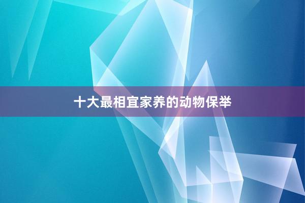 十大最相宜家养的动物保举