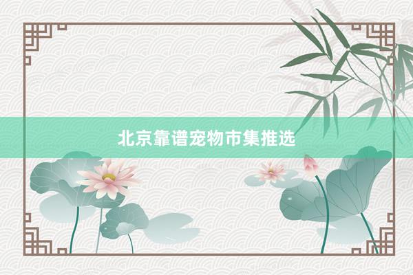 北京靠谱宠物市集推选