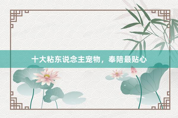 十大粘东说念主宠物，奉陪最贴心