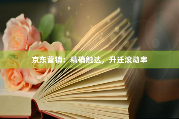 京东营销:精确触达,升迁滚动率