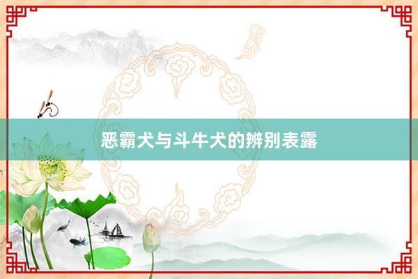 恶霸犬与斗牛犬的辨别表露